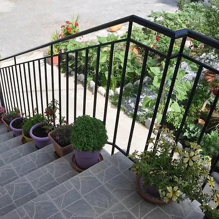 Guest house Paralia Agia Roumeli
