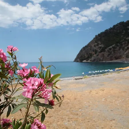 Πανσιόν Paralia 2*